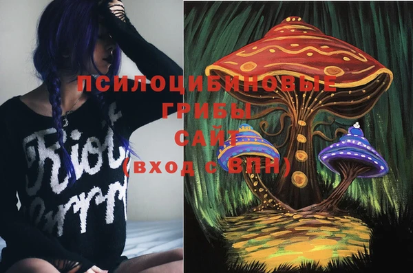 дурь Бородино