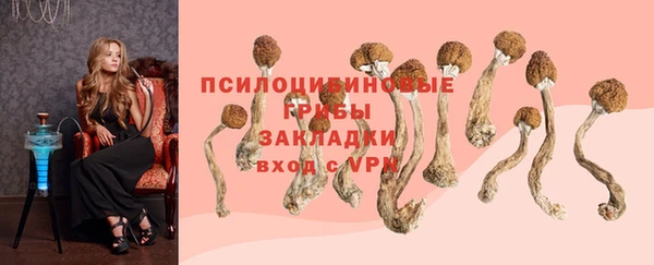 дурь Бородино