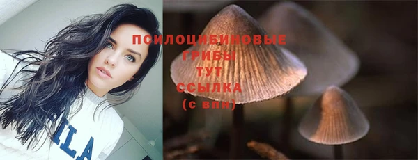 дурь Бородино