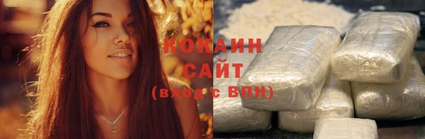 дурь Бородино