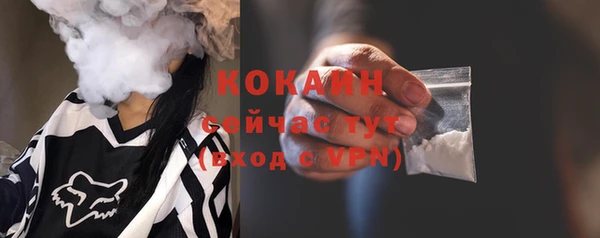 дурь Бородино