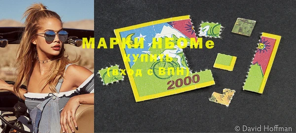 дурь Бородино