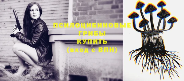 дурь Бородино